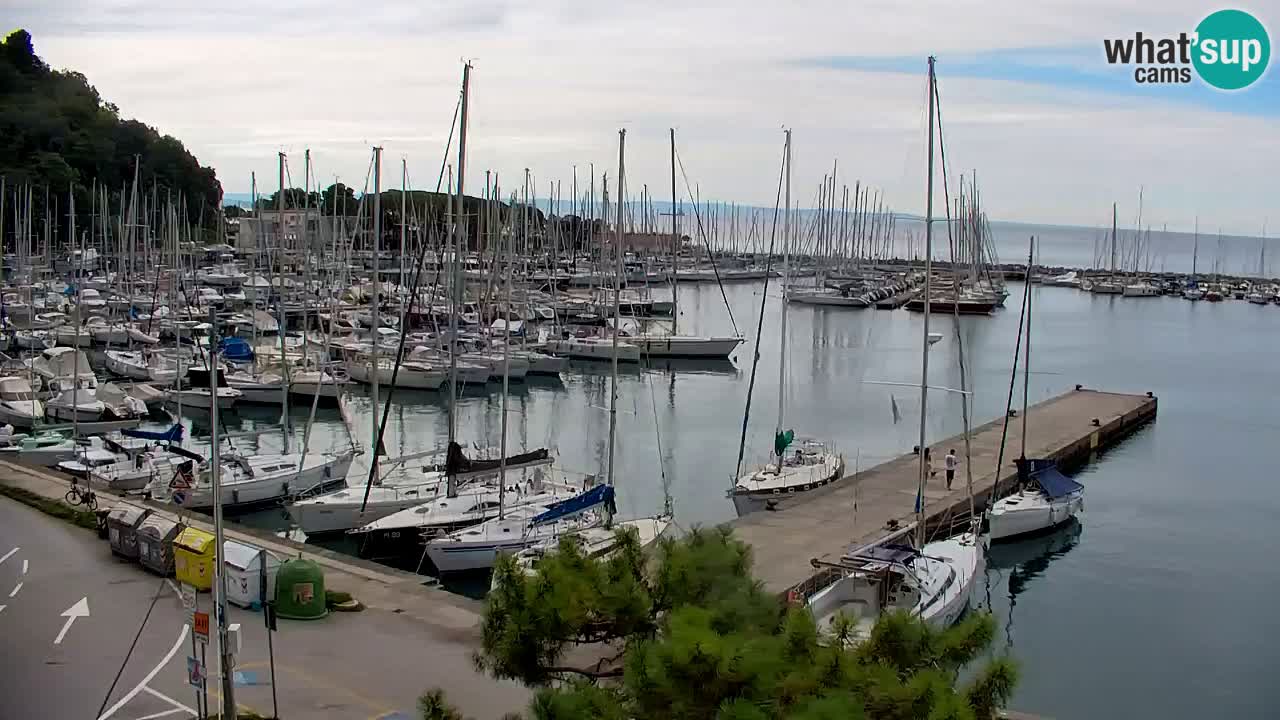 Webcam Sistiana Baia – Live View of the Marina and Gulf