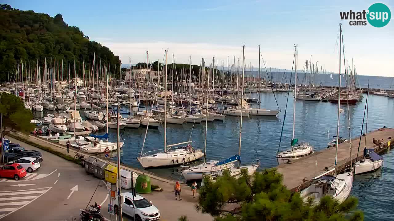 Webcam Sistiana Baia – Live View of the Marina and Gulf