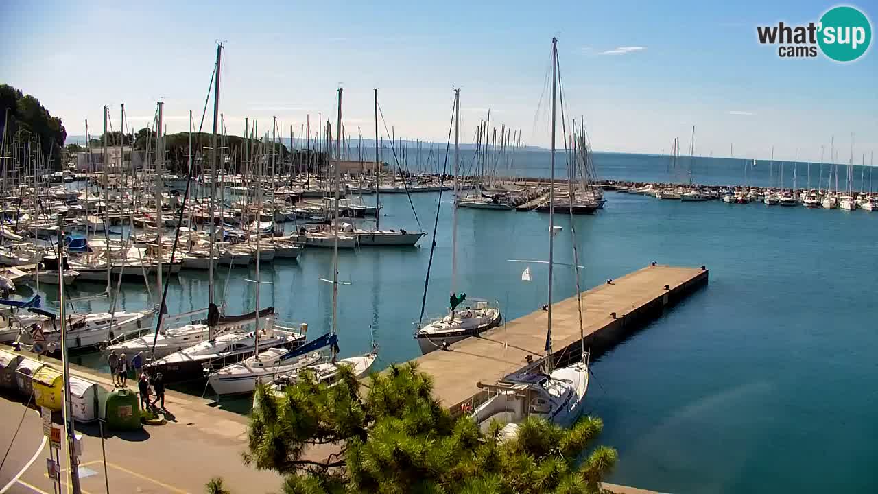 Webcam Bahía de Sistiana – Vista en directo del puerto deportivo y la costa
