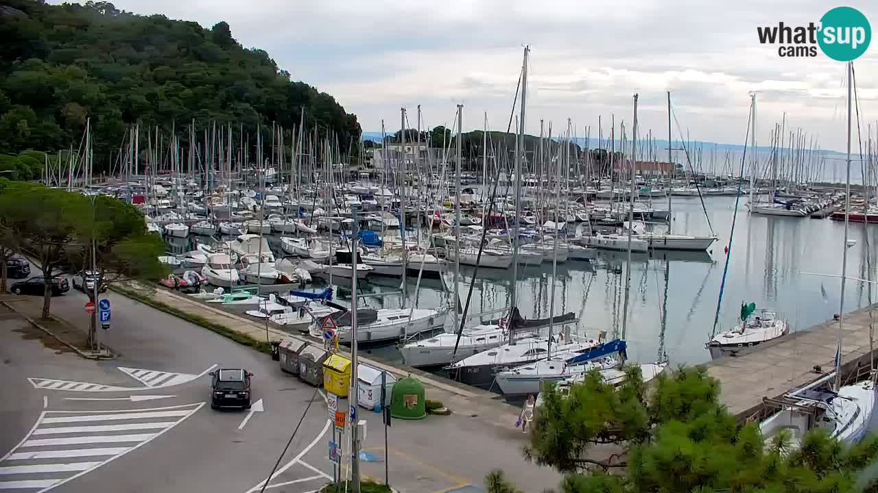 Webcam Sistiana Baia – Live View of the Marina and Gulf