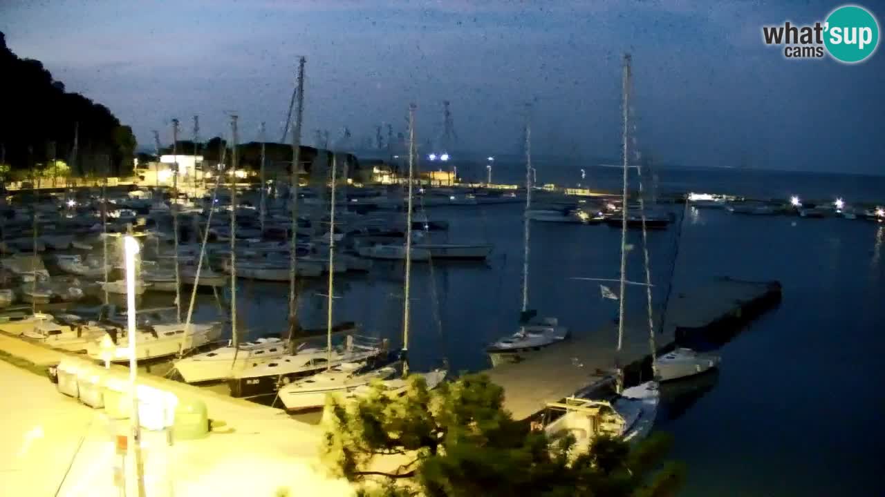 Spletna kamera Sesljanski zaliv – Pogled v živo na marino in zaliv