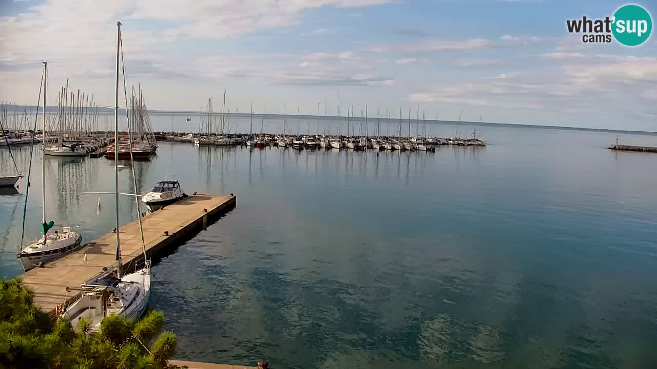 Webcam Sistiana Baia – Live View of the Marina and Gulf