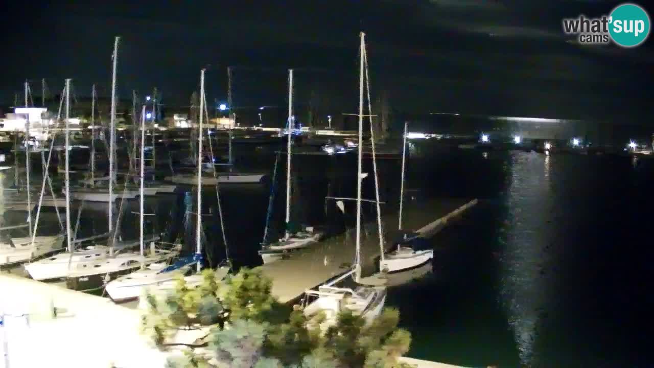 Webcam Bahía de Sistiana – Vista en directo del puerto deportivo y la costa