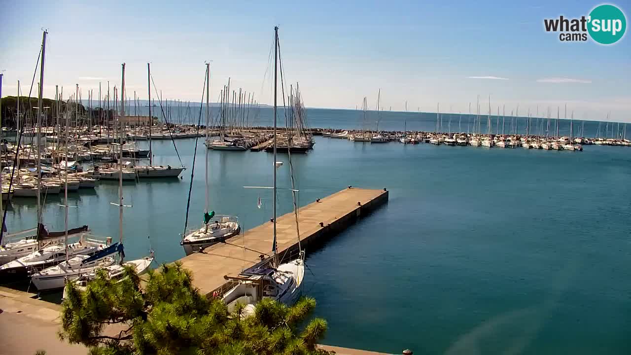 Webcam Bahía de Sistiana – Vista en directo del puerto deportivo y la costa
