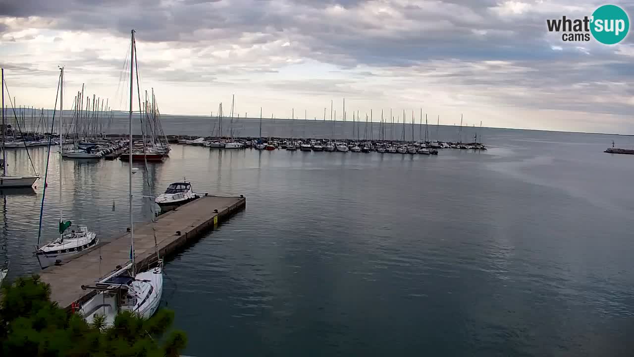 Webcam Sistiana Baia – Live View of the Marina and Gulf