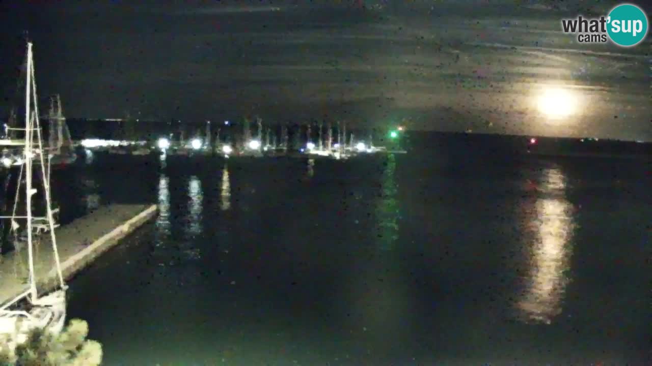 Webcam Sistiana Baia – Live View of the Marina and Gulf