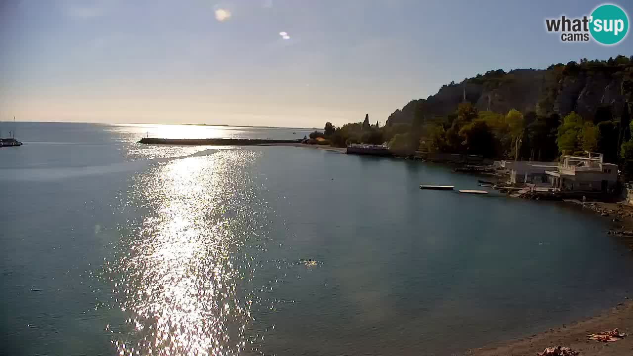 Webcam Bahía de Sistiana – Vista en directo del puerto deportivo y la costa