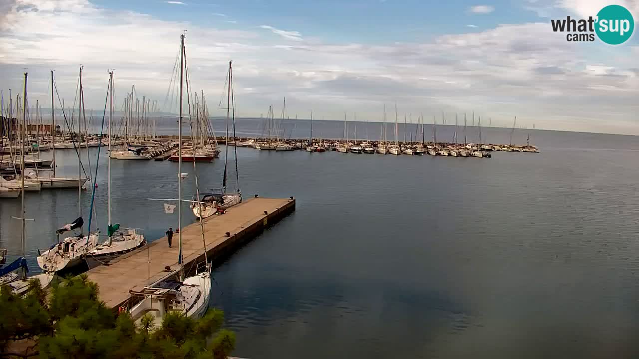 Webcam Bahía de Sistiana – Vista en directo del puerto deportivo y la costa