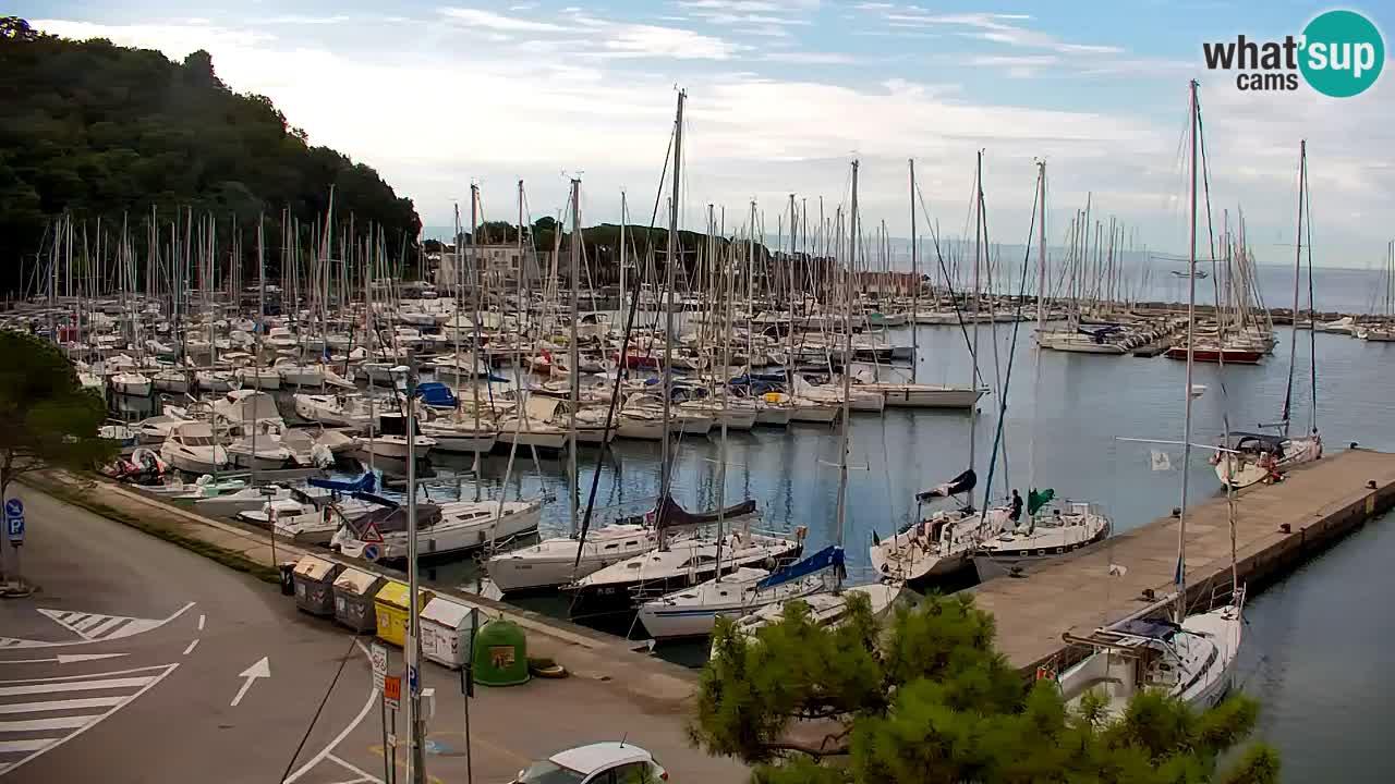 Webcam Bahía de Sistiana – Vista en directo del puerto deportivo y la costa