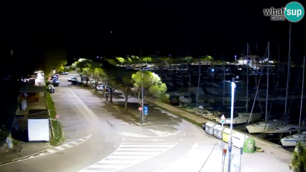 Webcam Bahía de Sistiana – Vista en directo del puerto deportivo y la costa