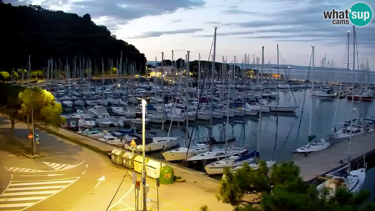 Webcam Sistiana Bucht – Liveblick auf Marina und Bucht