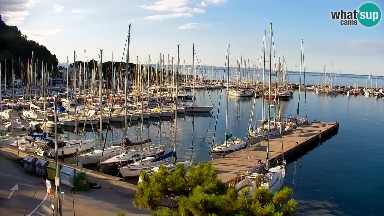 Webcam Sistiana Bucht – Liveblick auf Marina und Bucht