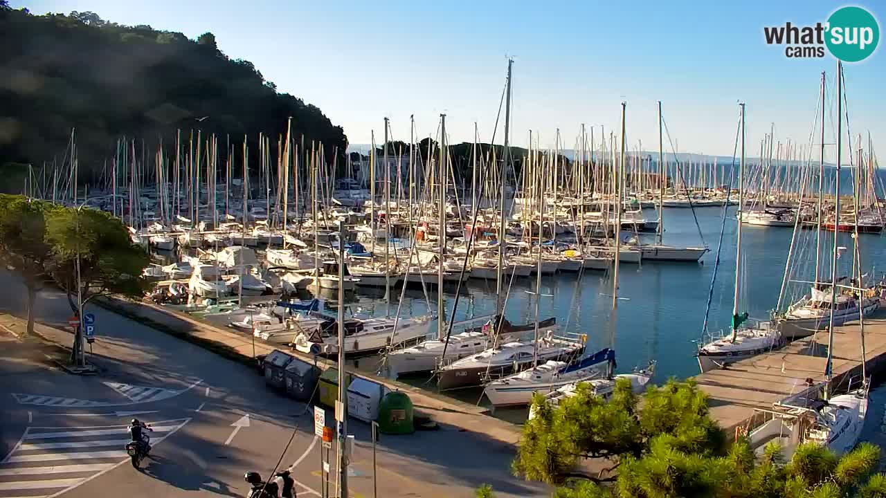 Webcam Sistiana Baia – Live View of the Marina and Gulf
