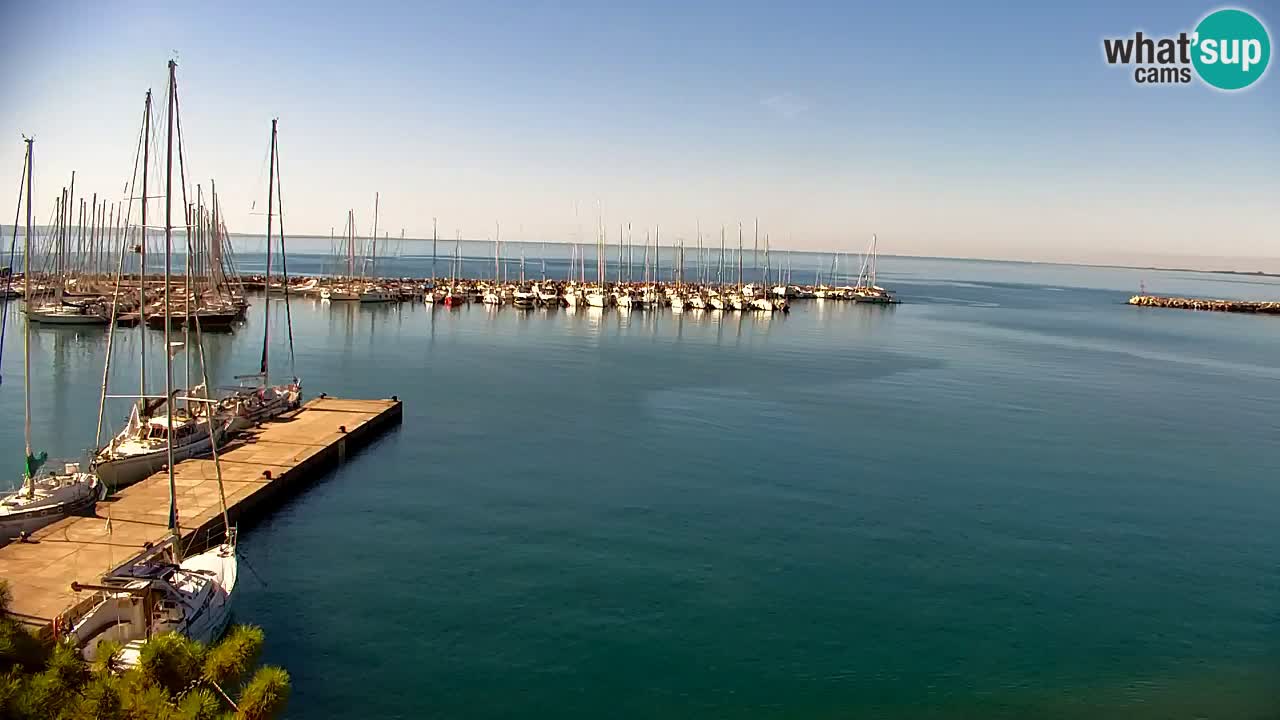 Webcam Sistiana Baia – Live View of the Marina and Gulf