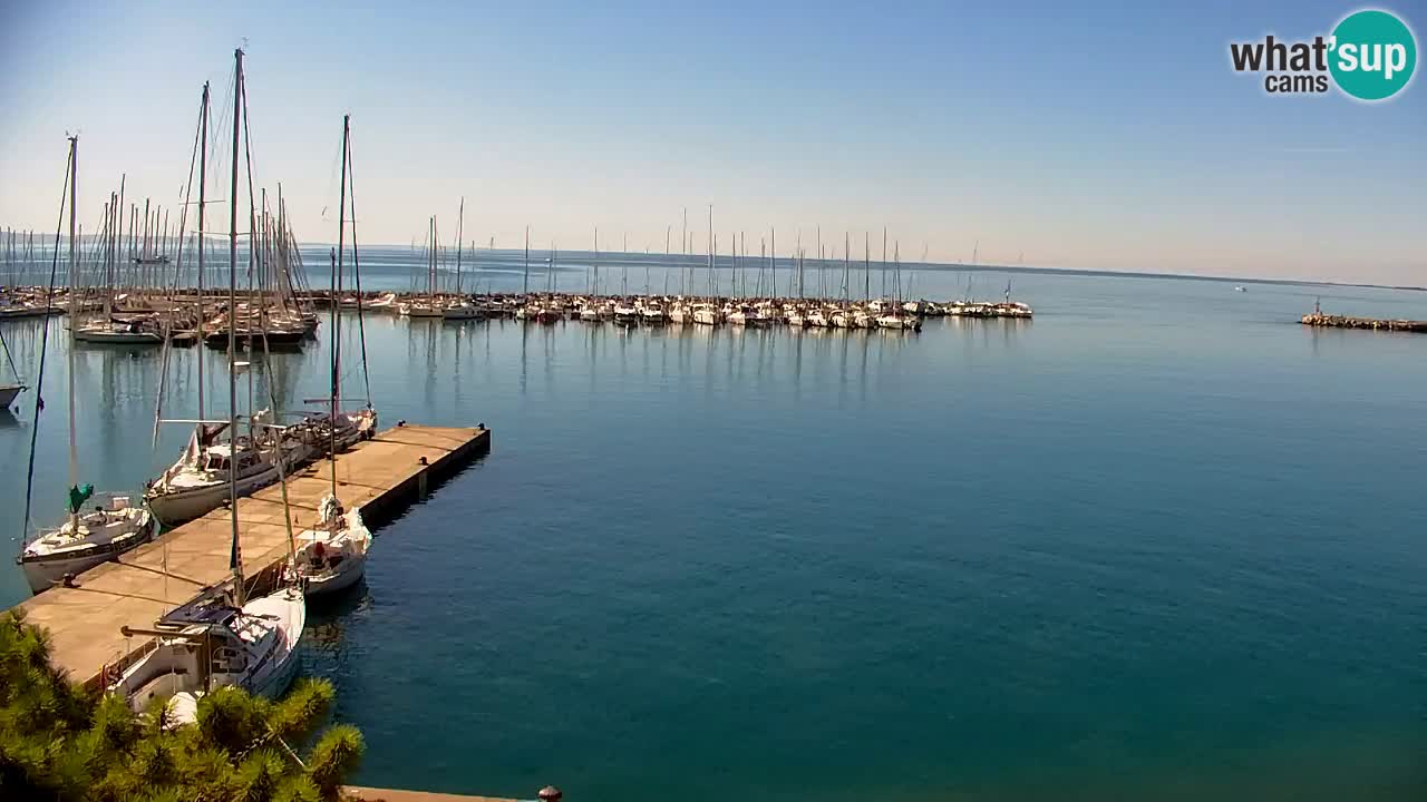 Webcam Baia di Sistiana – Marina e Golfo in diretta