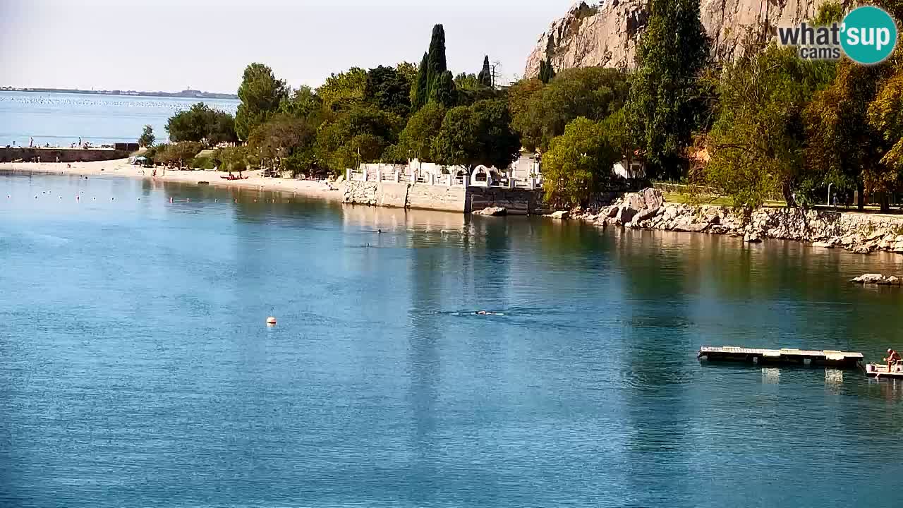 Webcam Bahía de Sistiana – Vista en directo del puerto deportivo y la costa