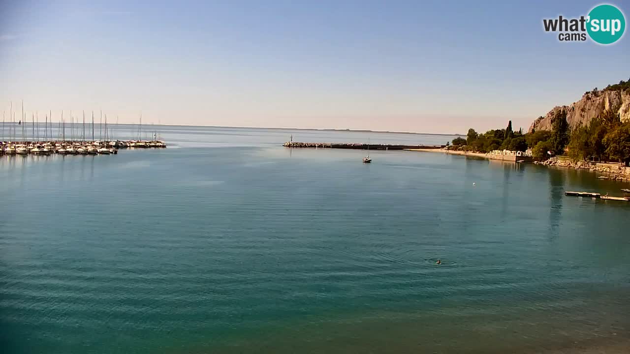 Webcam Sistiana Baia – Live View of the Marina and Gulf