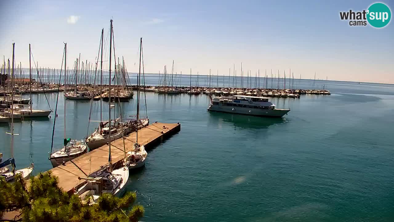 Webcam Sistiana Baia – Live View of the Marina and Gulf