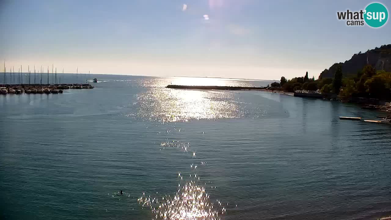 Webcam Sistiana Baia – Live View of the Marina and Gulf