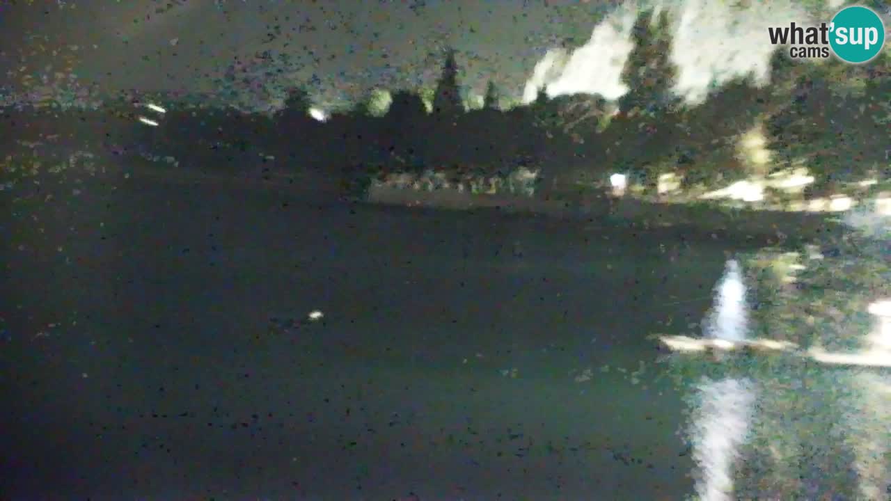 Webcam Sistiana Baia – Live View of the Marina and Gulf