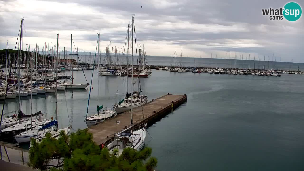 Webcam Baia di Sistiana – Marina e Golfo in diretta