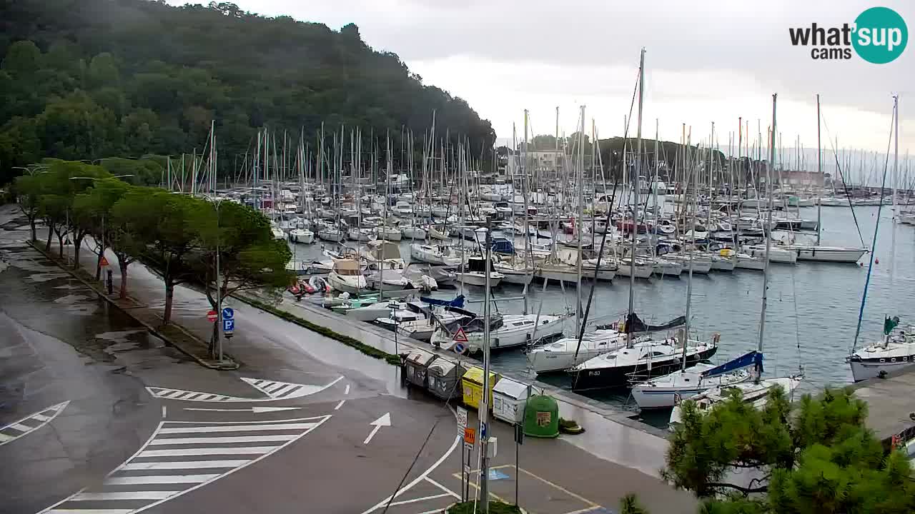 Webcam Sistiana Baia – Live View of the Marina and Gulf