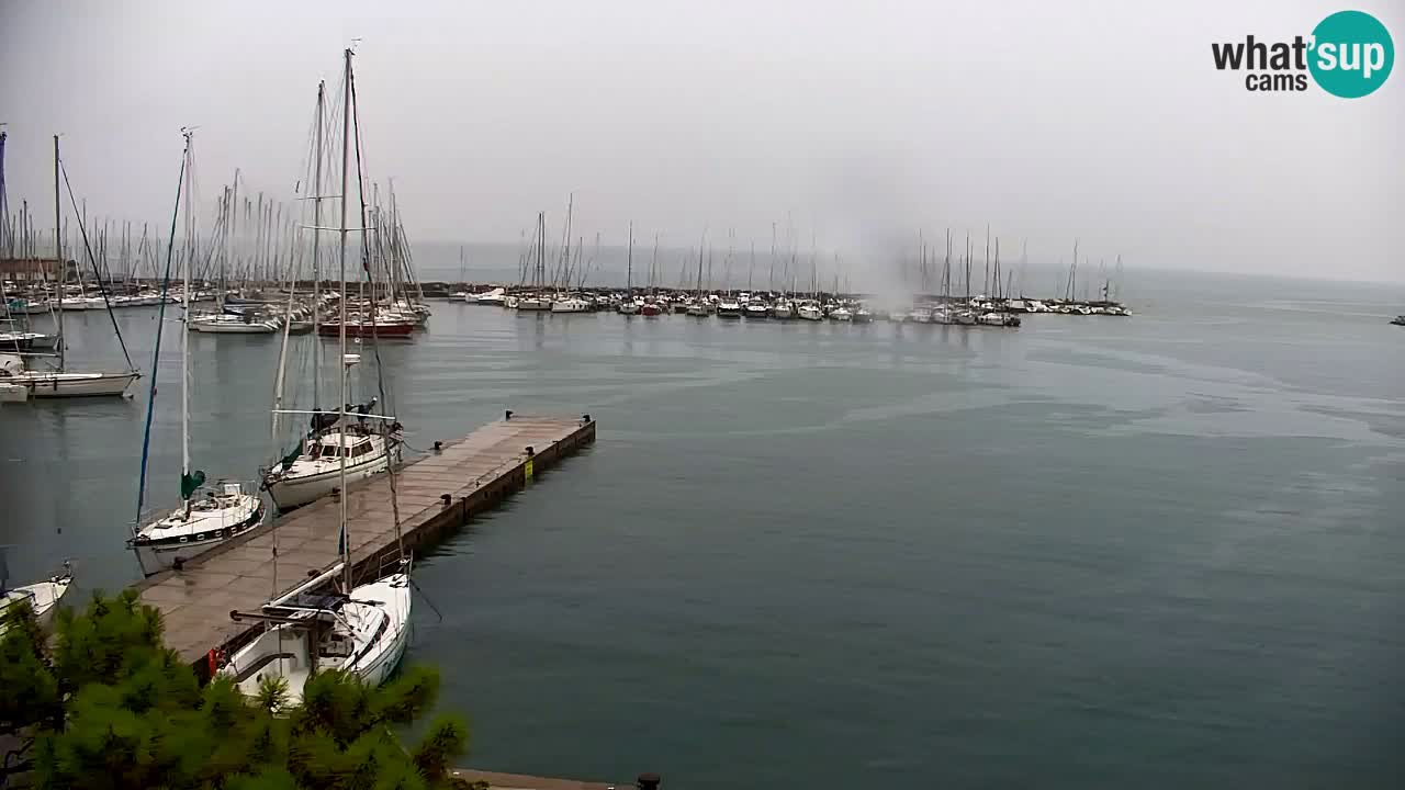 Webcam Sistiana Baia – Live View of the Marina and Gulf