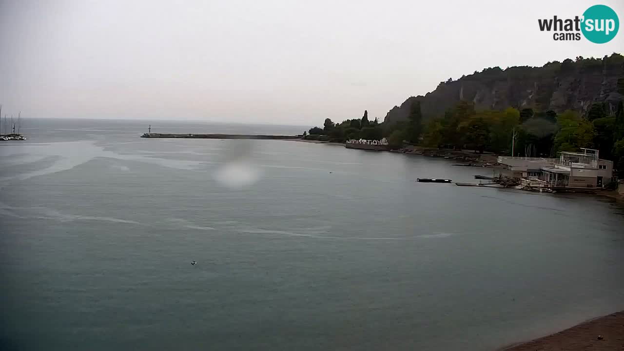 Spletna kamera Sesljanski zaliv – Pogled v živo na marino in zaliv
