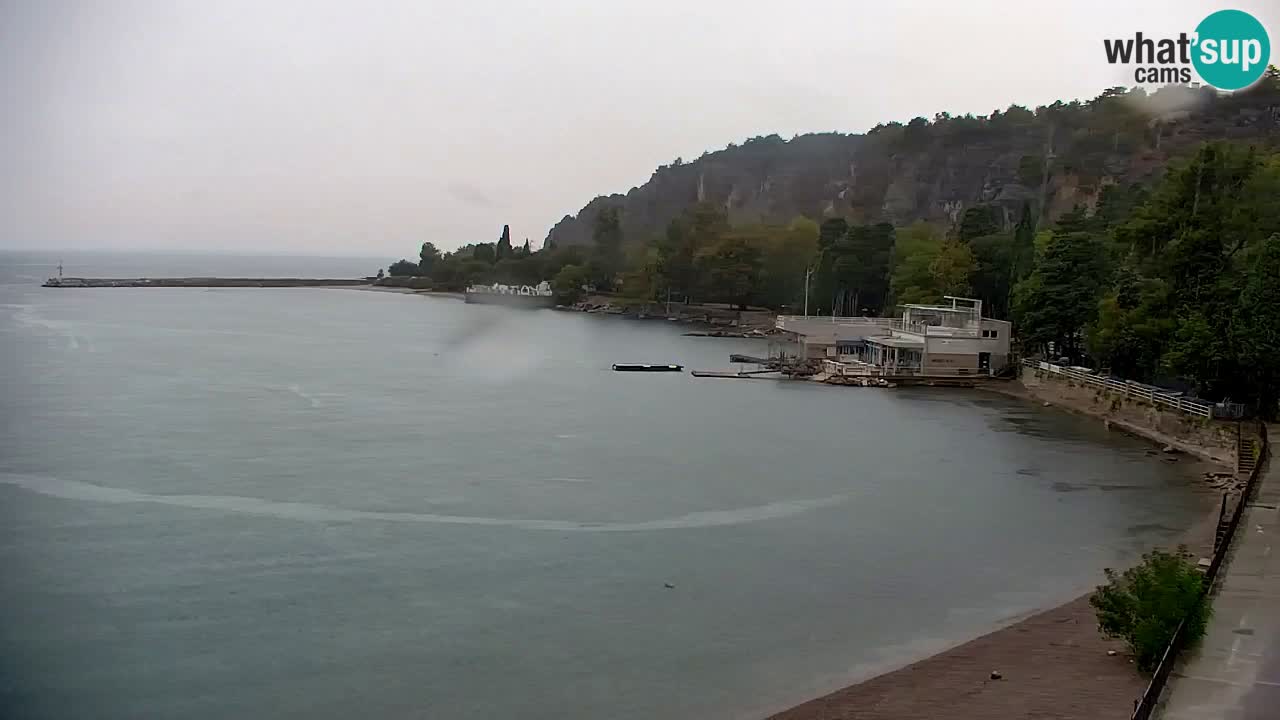 Webcam Sistiana Baia – Live View of the Marina and Gulf