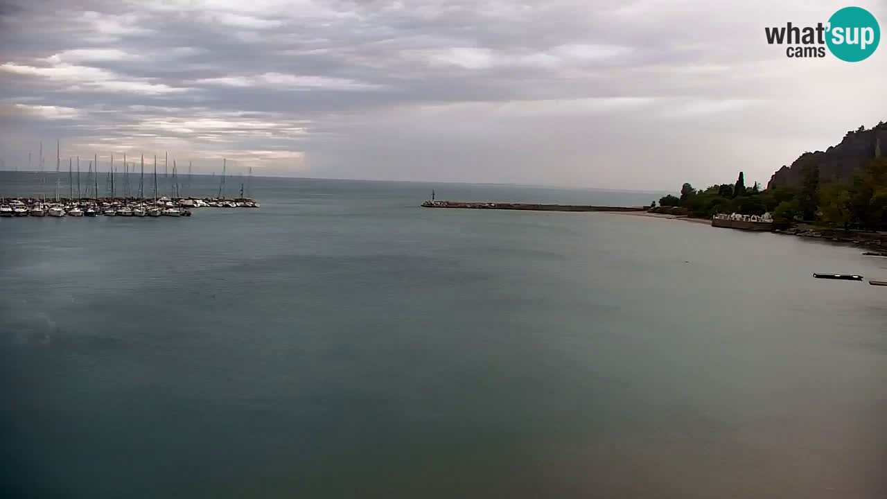 Webcam Sistiana Baia – Live View of the Marina and Gulf