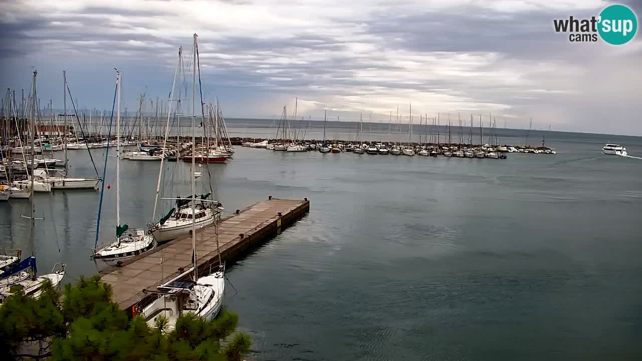 Webcam Sistiana Baia – Live View of the Marina and Gulf