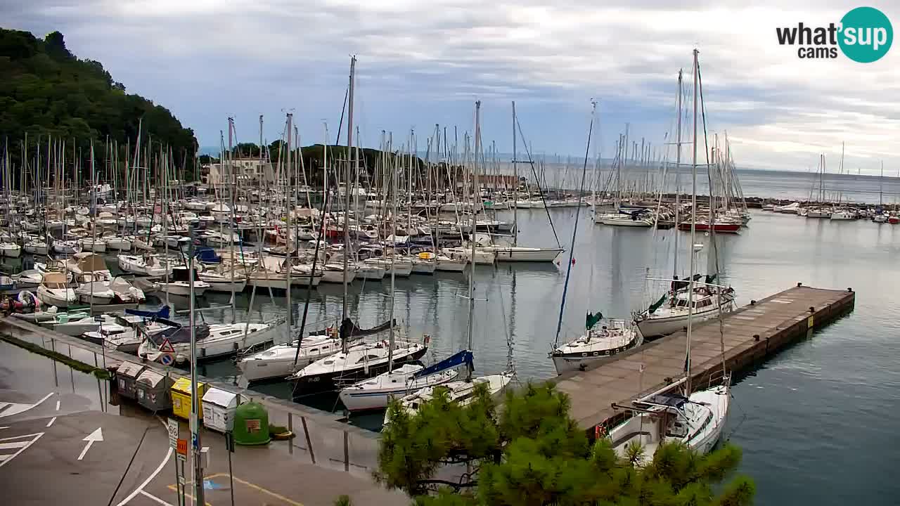 Webcam Bahía de Sistiana – Vista en directo del puerto deportivo y la costa