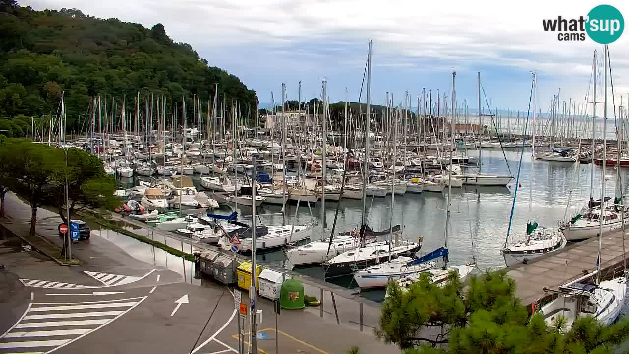 Webcam Bahía de Sistiana – Vista en directo del puerto deportivo y la costa