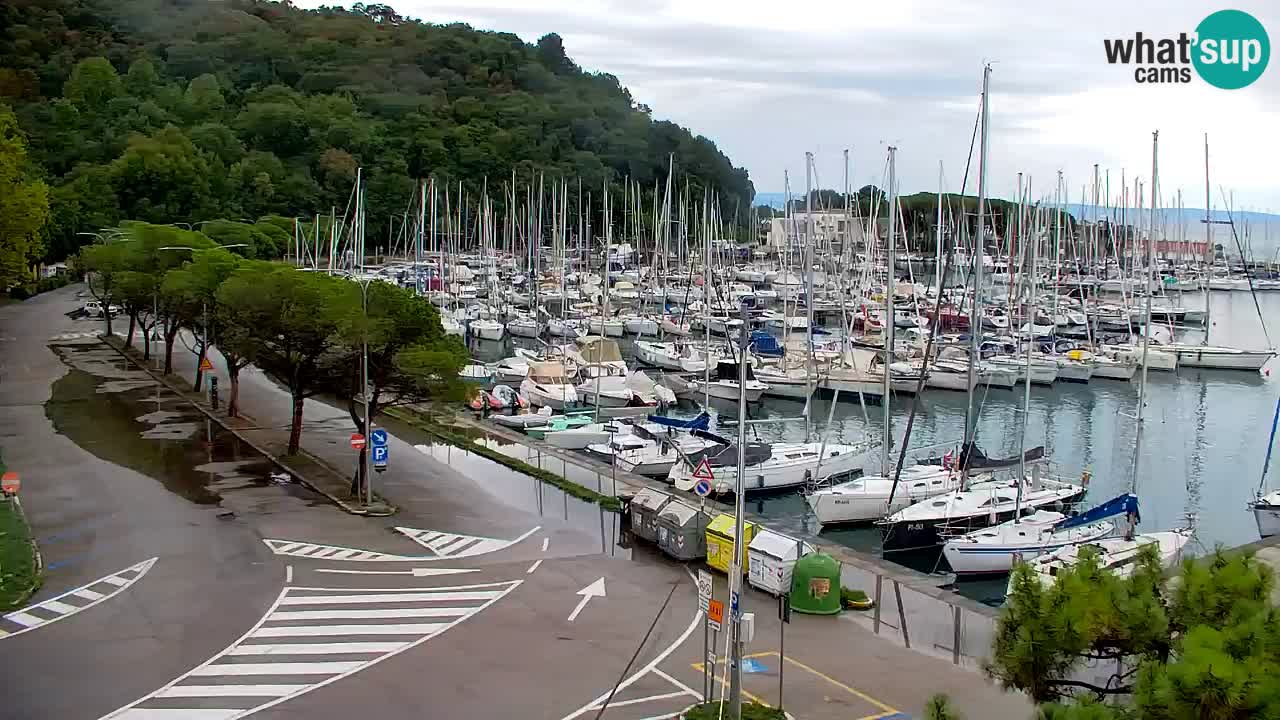 Web kamera Sistiana Uvala – Pogled uživo na marinu i zaljev