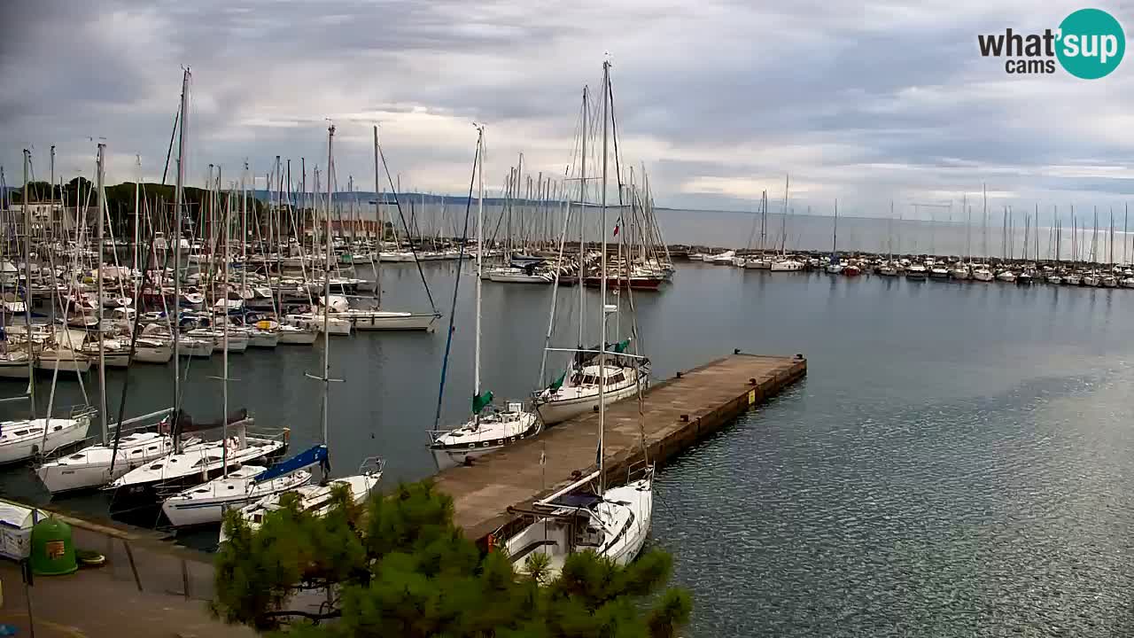 Web kamera Sistiana Uvala – Pogled uživo na marinu i zaljev