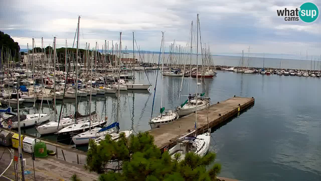 Webcam Sistiana Baia – Live View of the Marina and Gulf