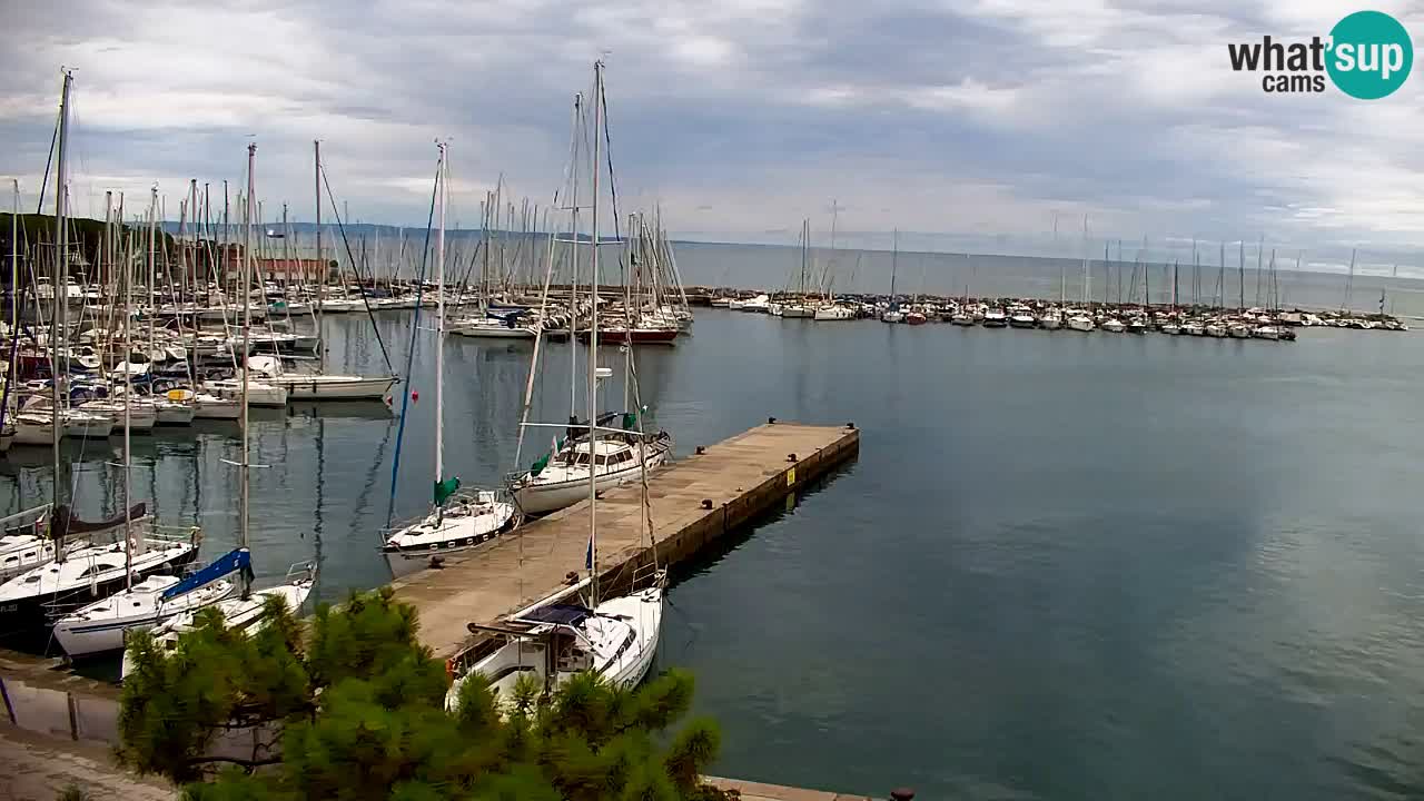 Webcam Bahía de Sistiana – Vista en directo del puerto deportivo y la costa