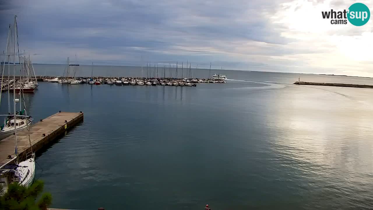 Webcam Sistiana Baia – Live View of the Marina and Gulf