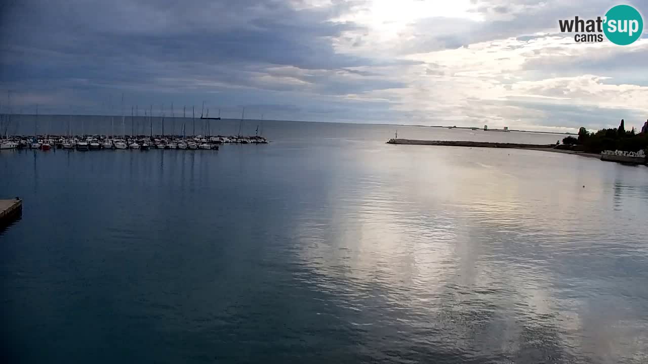 Webcam Sistiana Baia – Live View of the Marina and Gulf