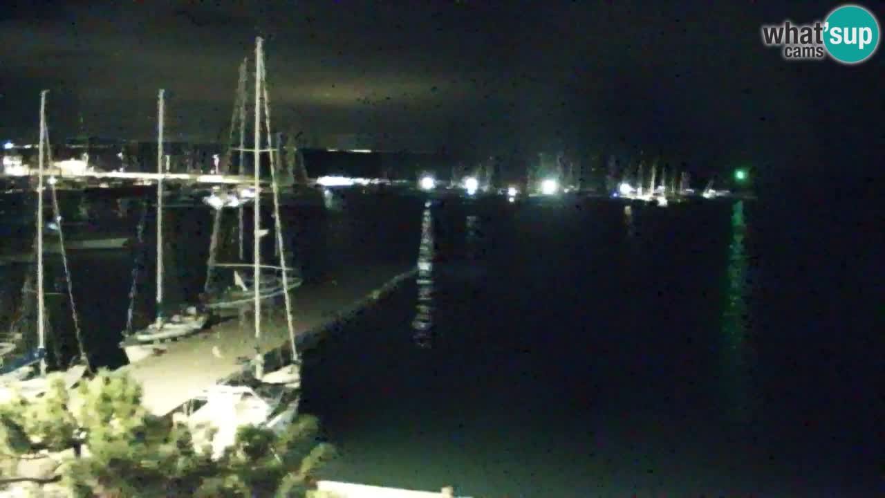 Webcam Sistiana Baia – Live View of the Marina and Gulf