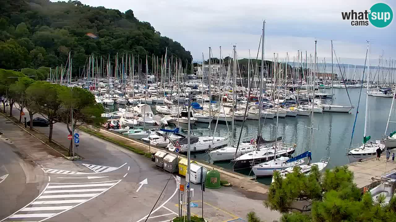 Webcam Sistiana Baia – Live View of the Marina and Gulf