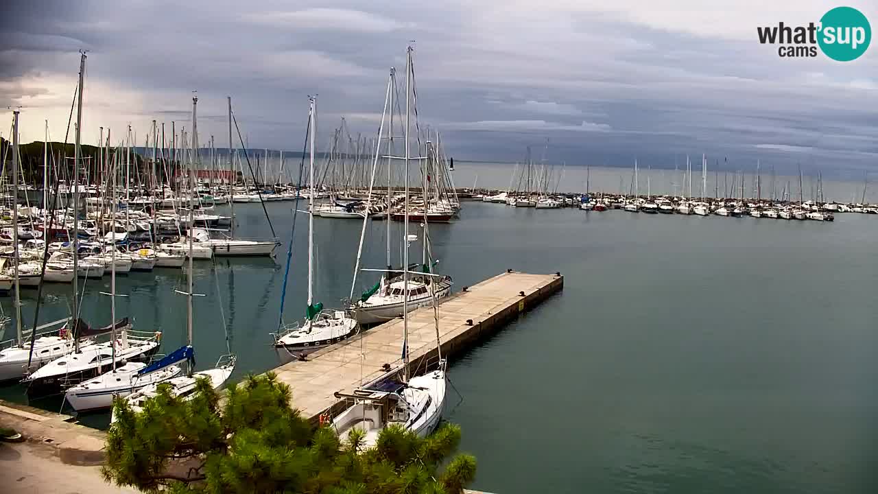 Webcam Sistiana Baia – Live View of the Marina and Gulf