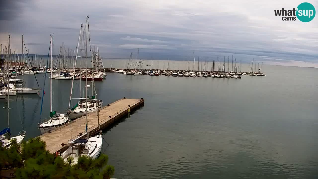 Webcam Sistiana Baia – Live View of the Marina and Gulf
