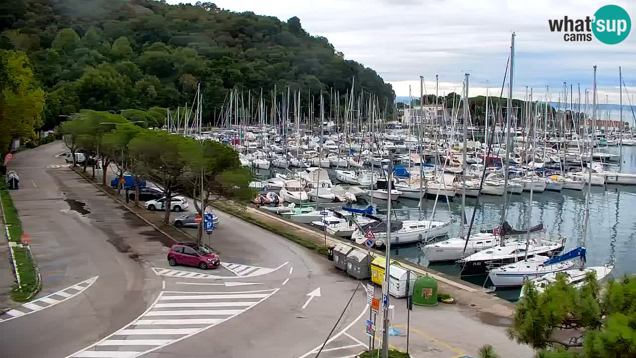 Webcam Sistiana Baia – Live View of the Marina and Gulf