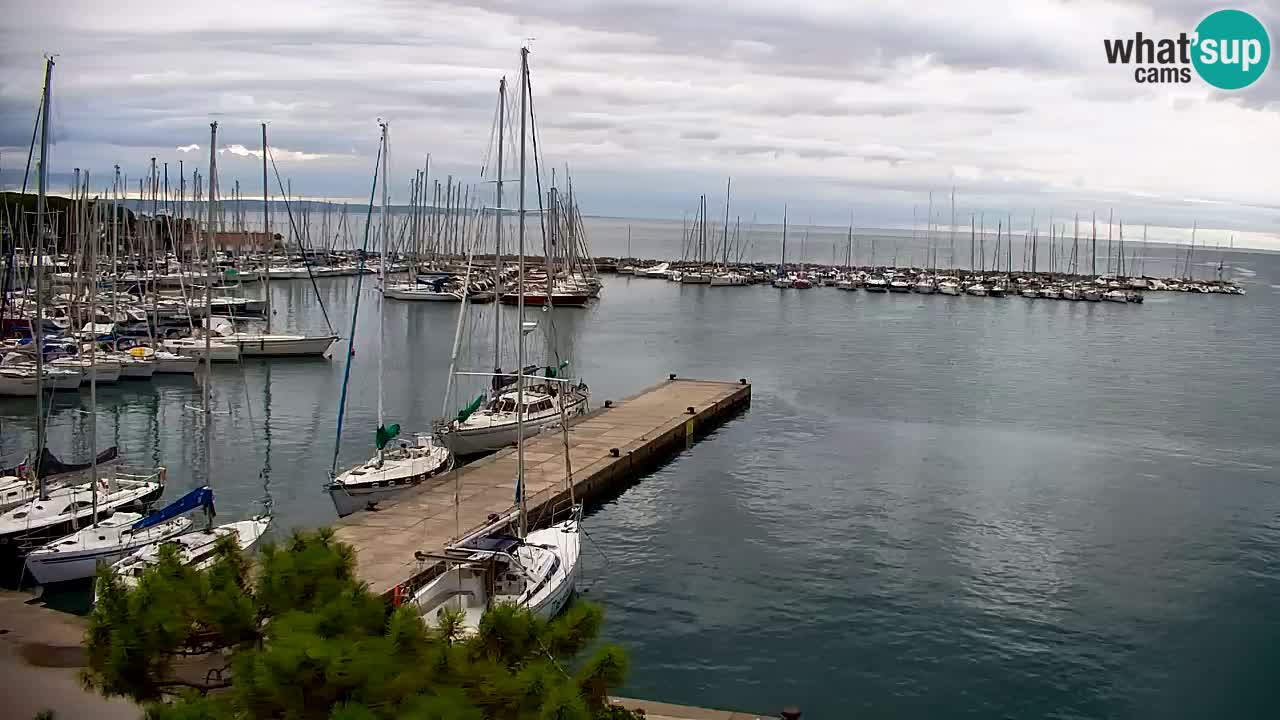 Webcam Baie de Sistiana – Vue en direct de la marina et de la baie