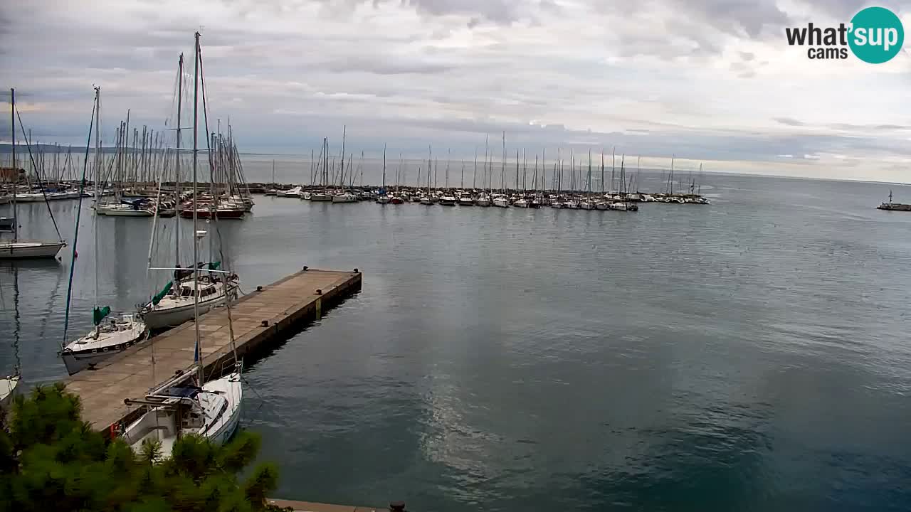 Webcam Bahía de Sistiana – Vista en directo del puerto deportivo y la costa