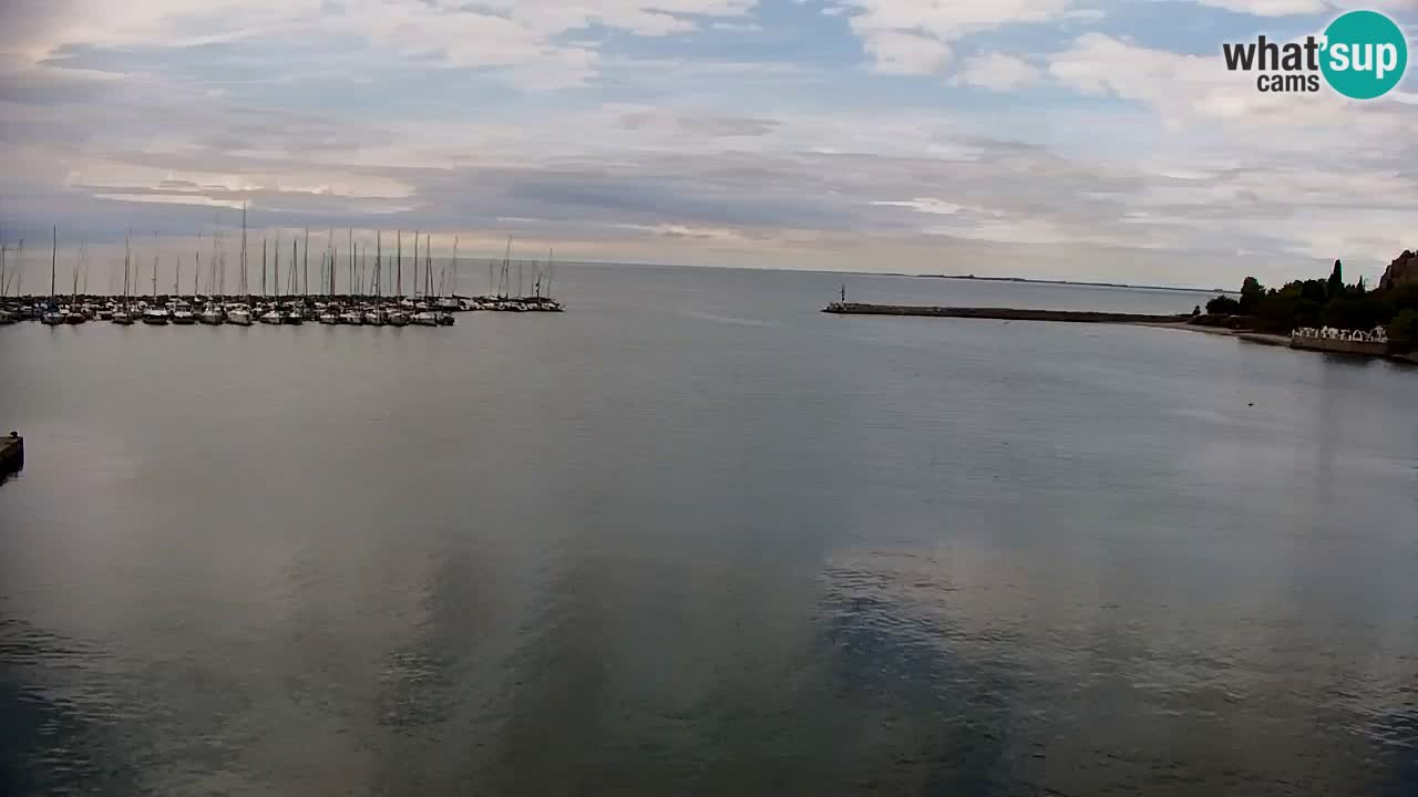 Webcam Sistiana Bucht – Liveblick auf Marina und Bucht