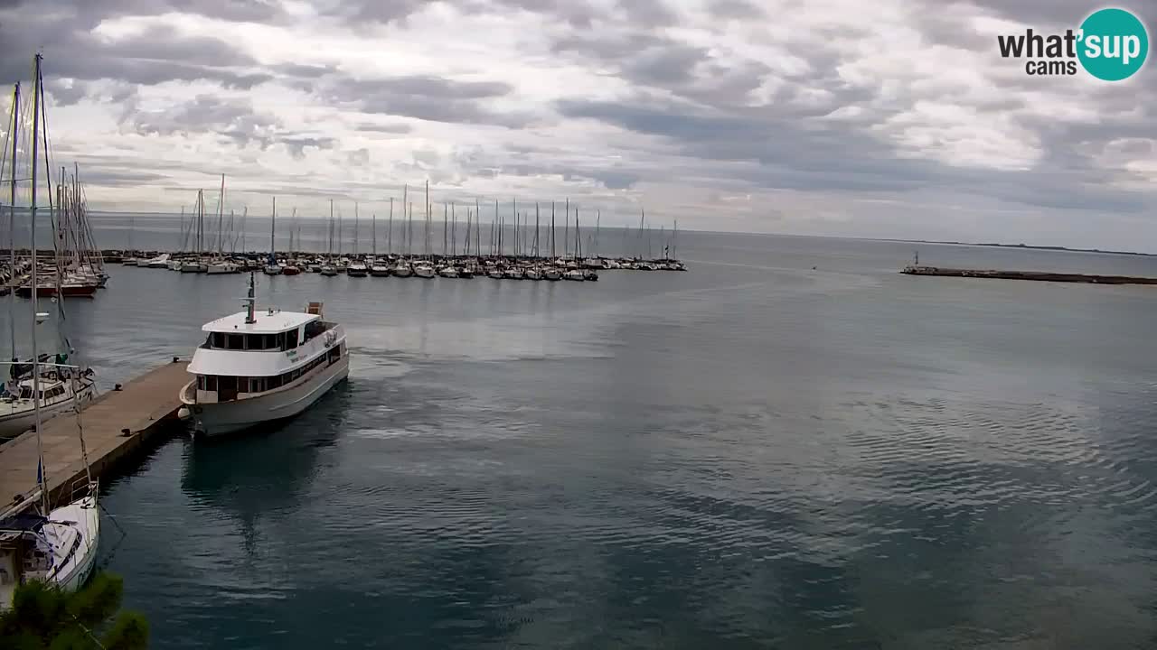 Webcam Baia di Sistiana – Marina e Golfo in diretta