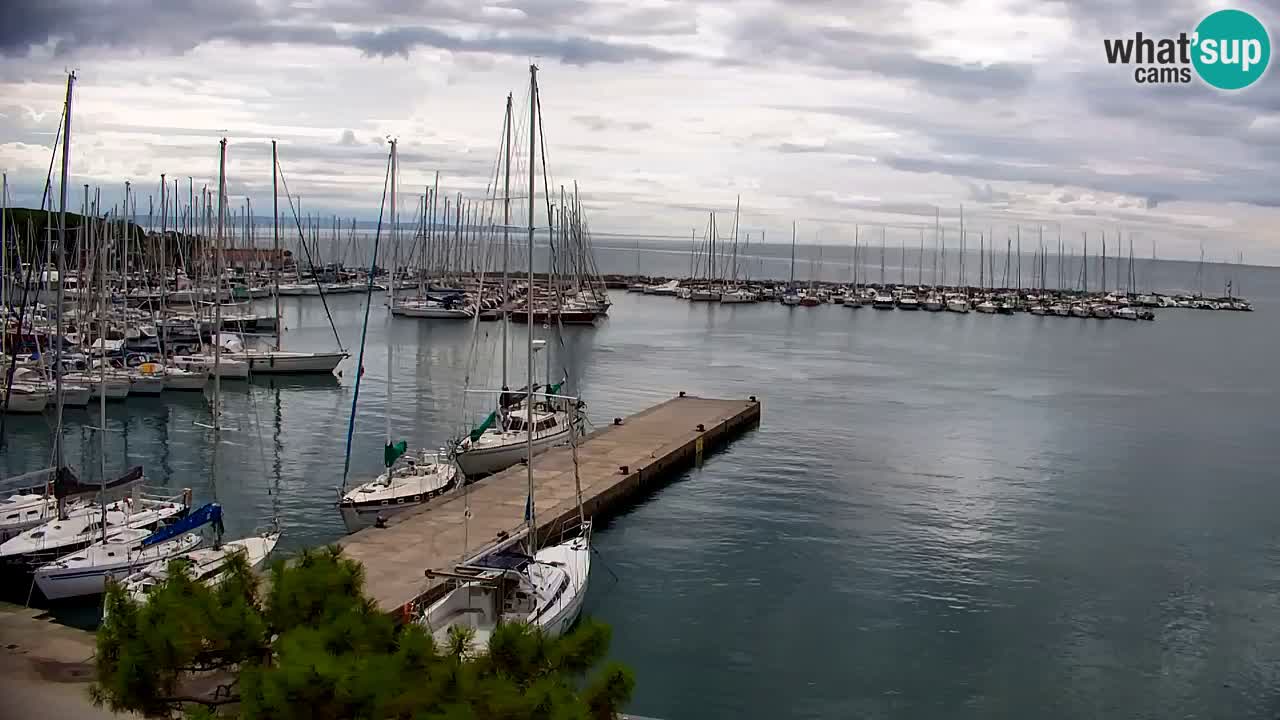 Webcam Baie de Sistiana – Vue en direct de la marina et de la baie