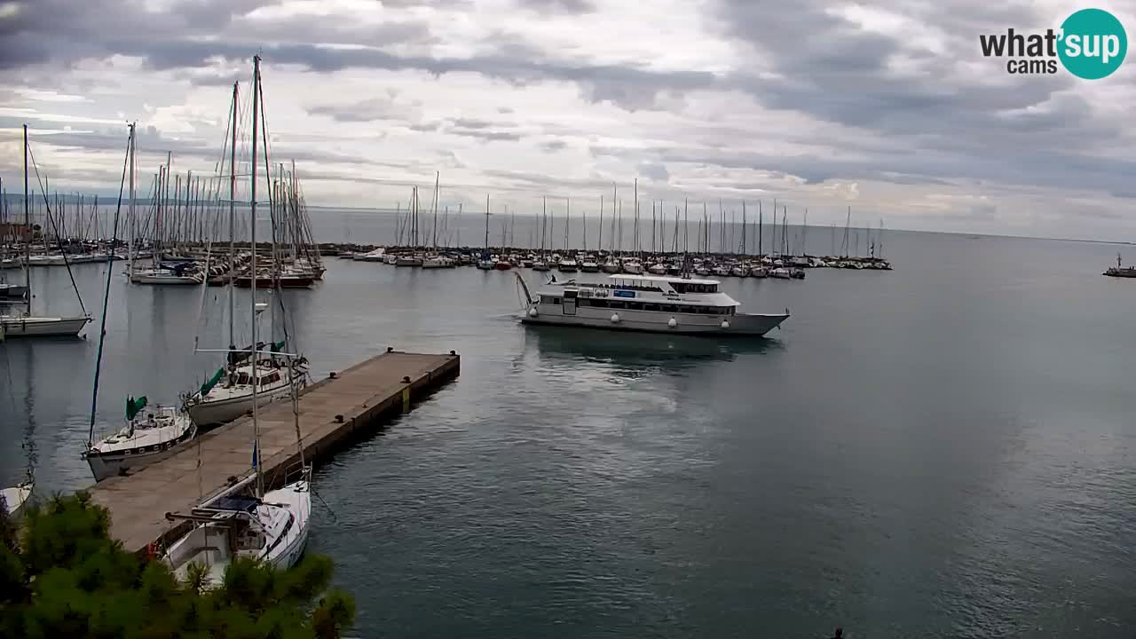 Webcam Sistiana Bucht – Liveblick auf Marina und Bucht